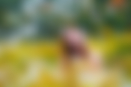 Man in yellow flower field by Ryan McGinley
