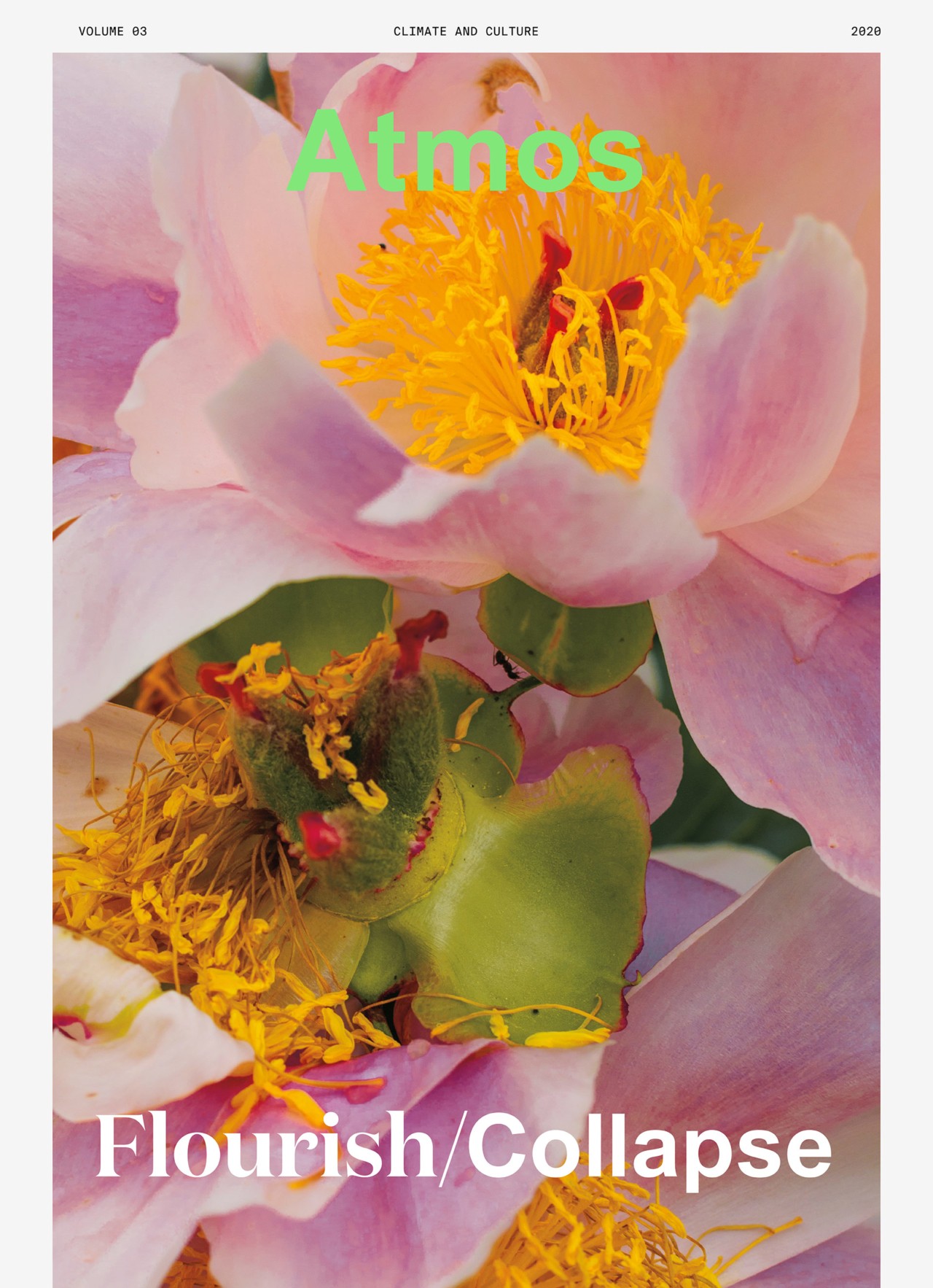 Pink flower on Atmos magazine cover by Stefanie Moshammer