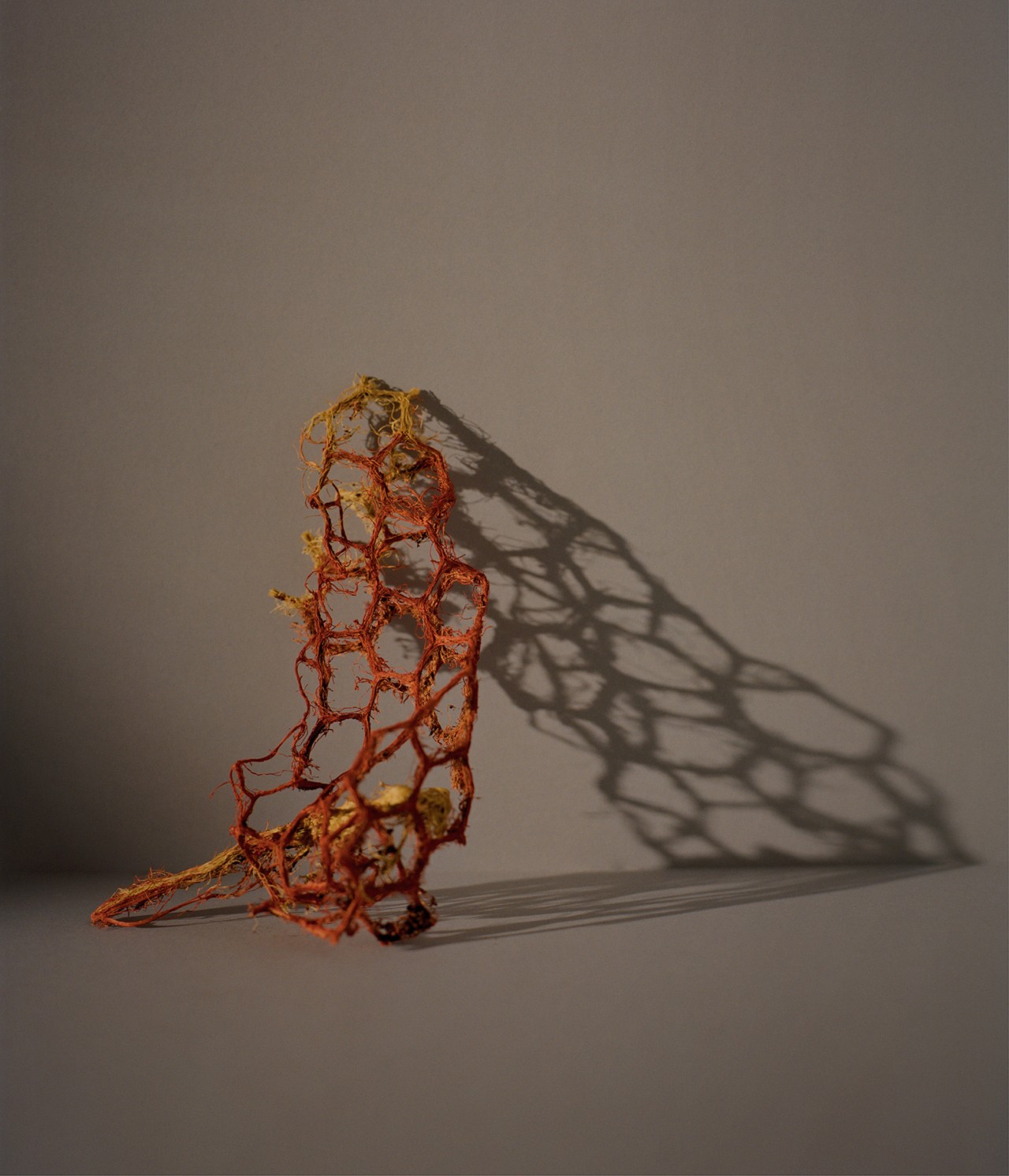 Biofabric still life by Bastian Achard