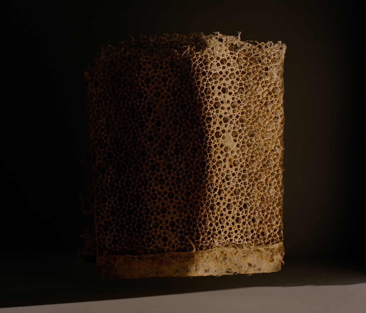 Biofabricated grass fabric by Bastian Achard