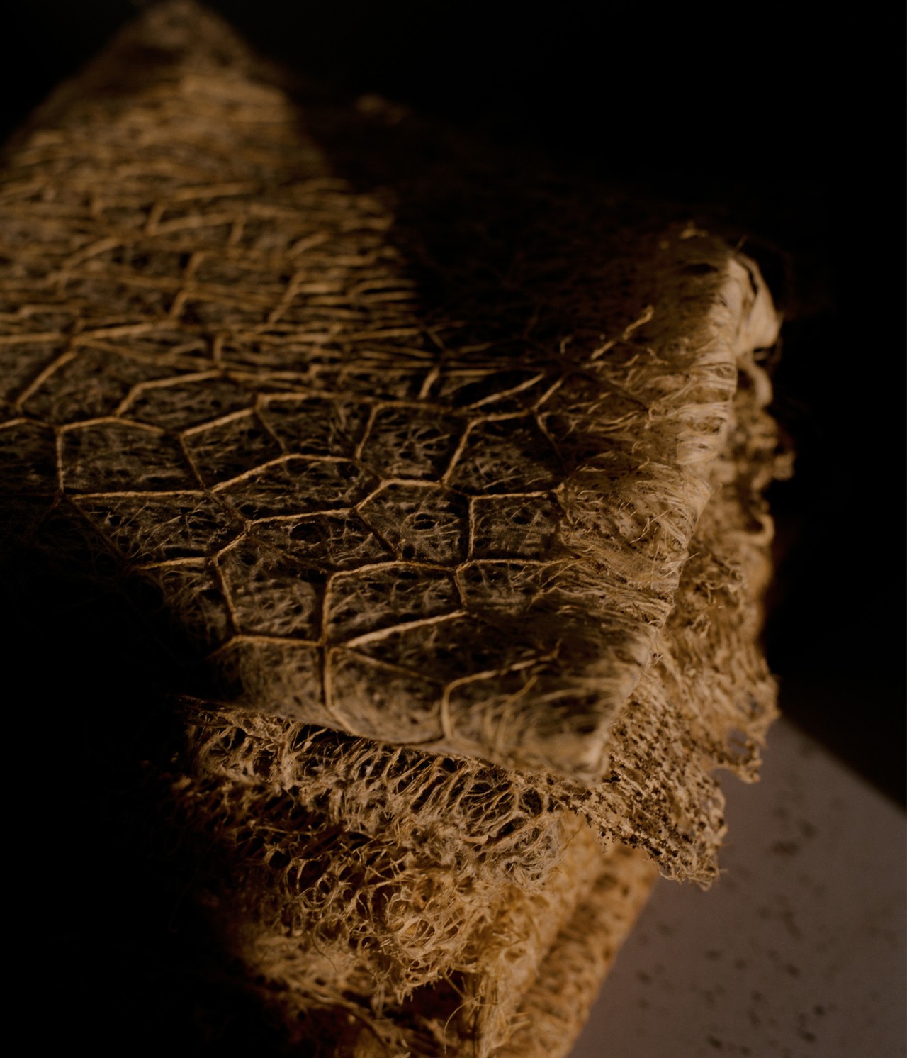 Biofabricated grass fabric by Bastian Achard