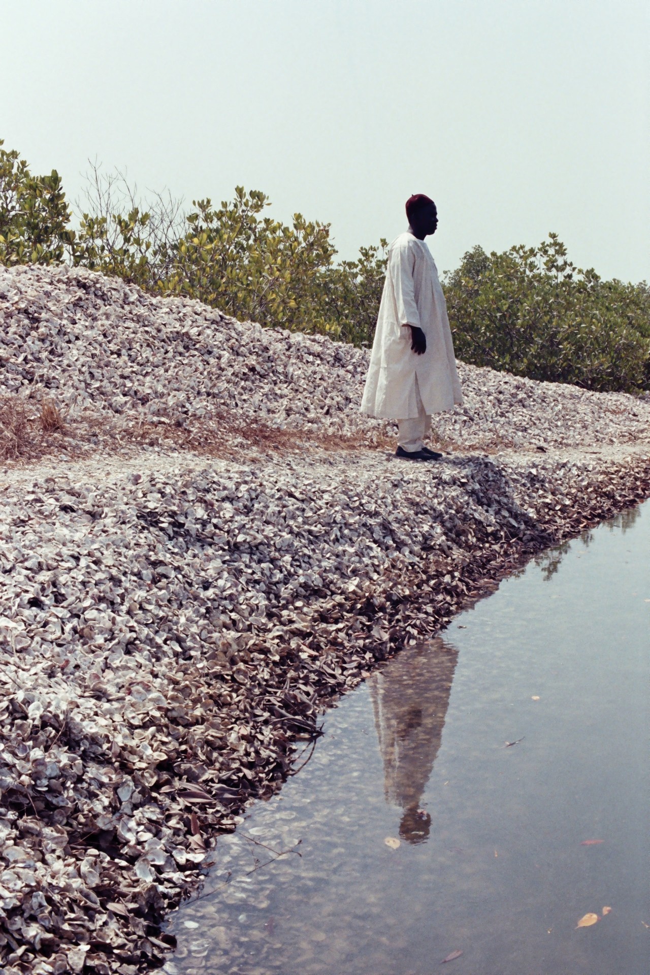 Salatou Sambou river watcher on oyster bank by Denisse Ariana Pérez