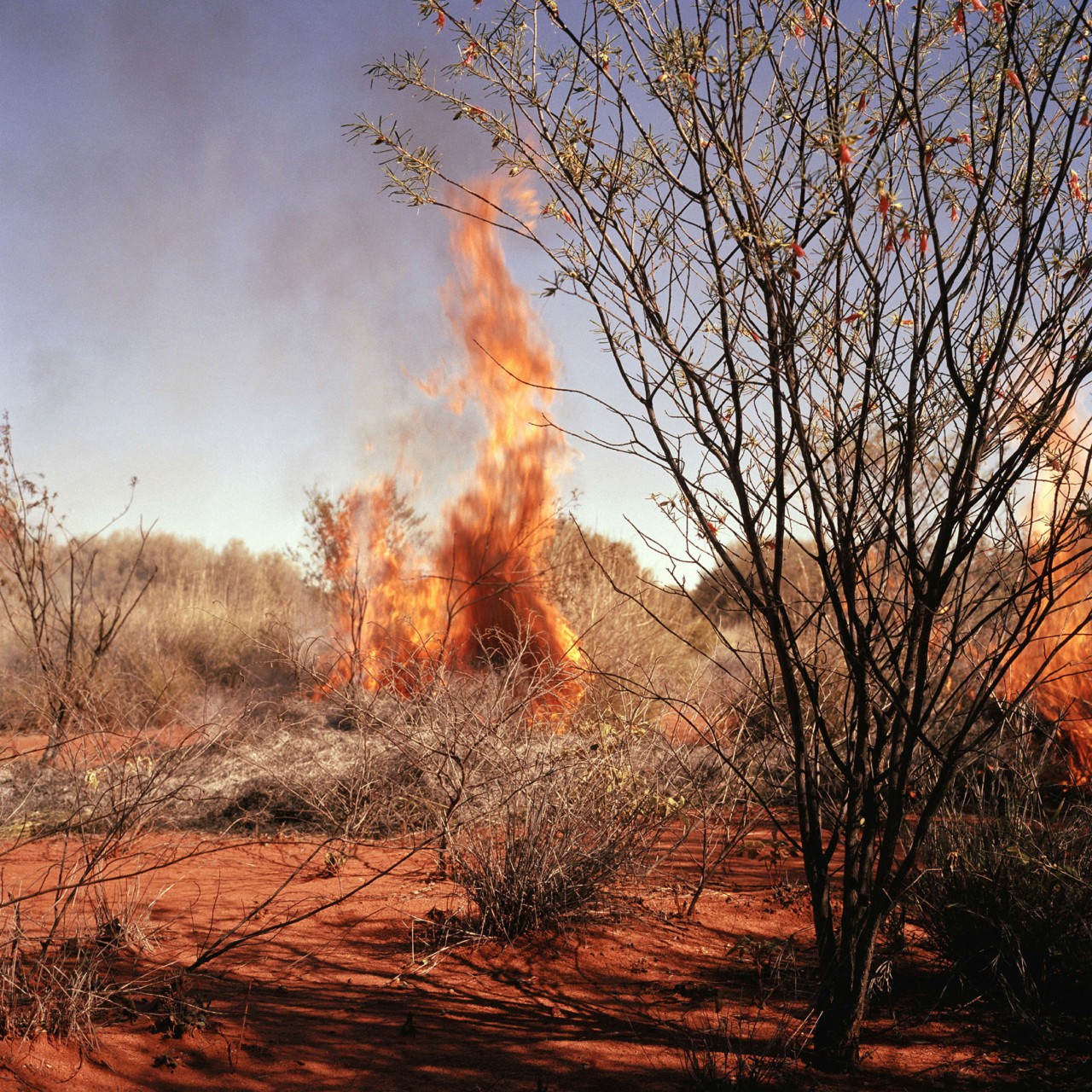 Burning fire photography