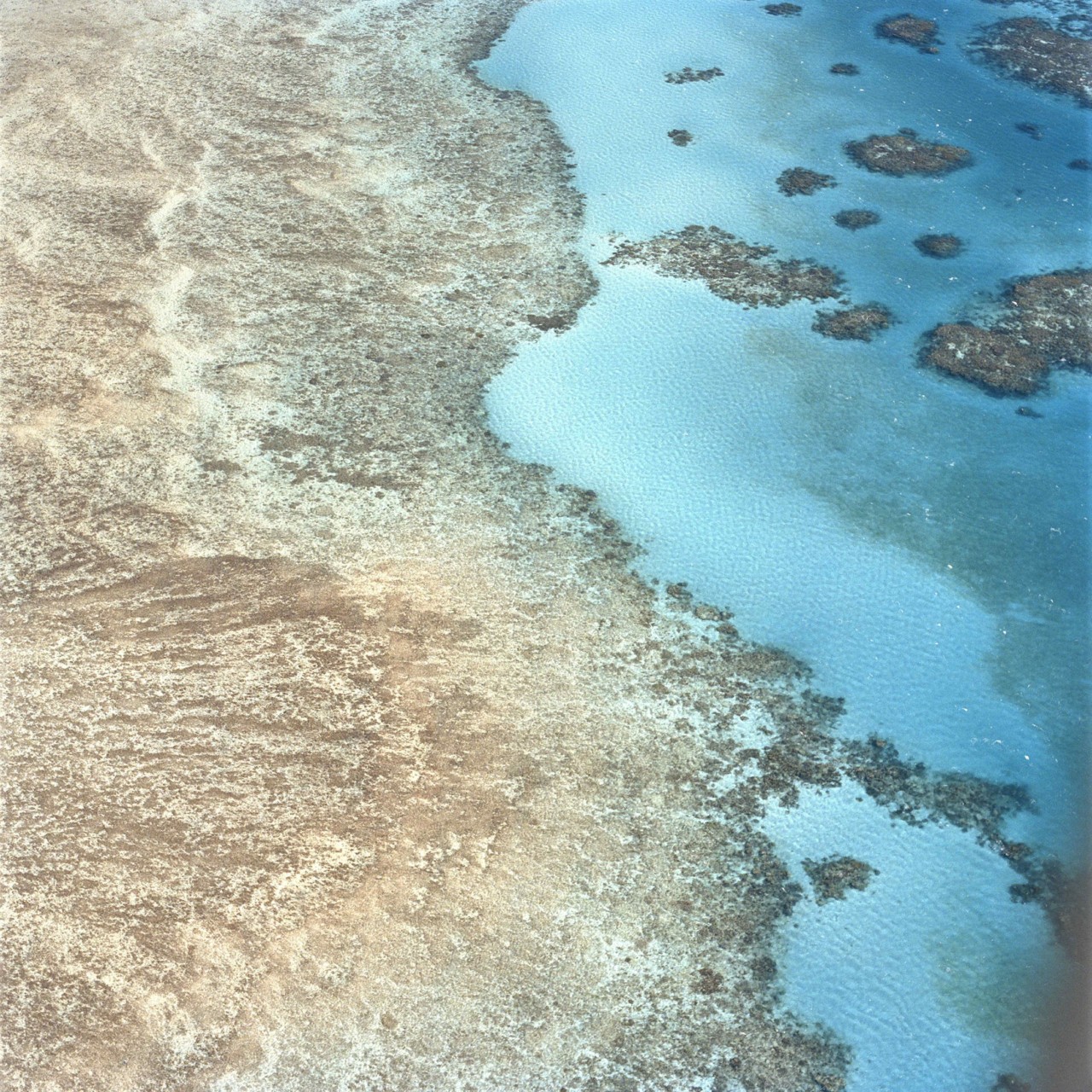 Bleached coral reef aerial photography