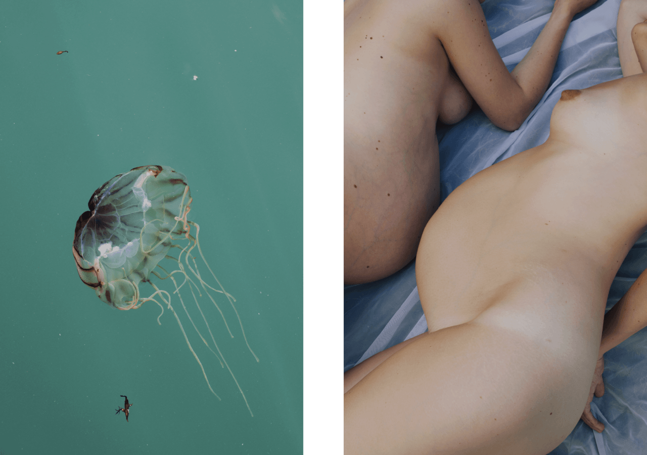 A translucent jellyfish paired with two pregnant people laying on a blanket naked.