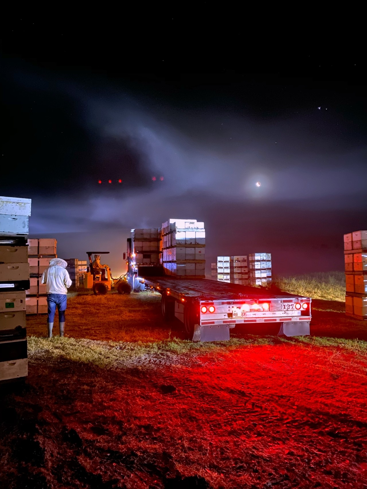 Long-haul trucks with bee hives by Ryan Shorosky