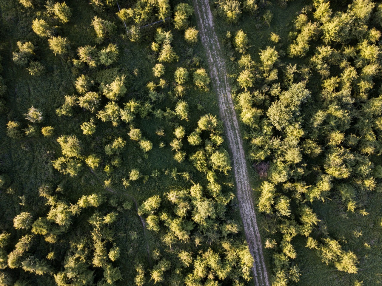 Aerial view of the Knepp Castle estate