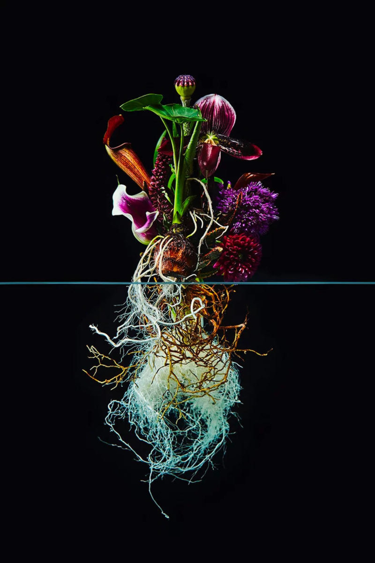 Azuma Makoto Under Surface flowers