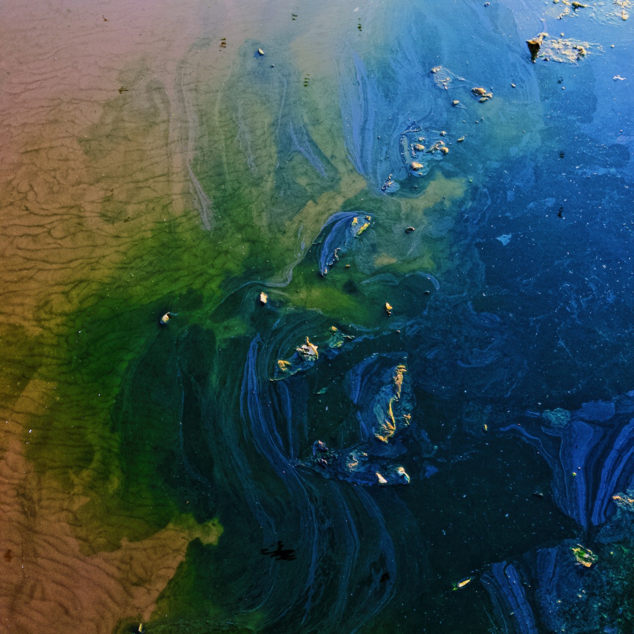Ghazipur landfill toxic waste in New Delhi by Rishabh Malik