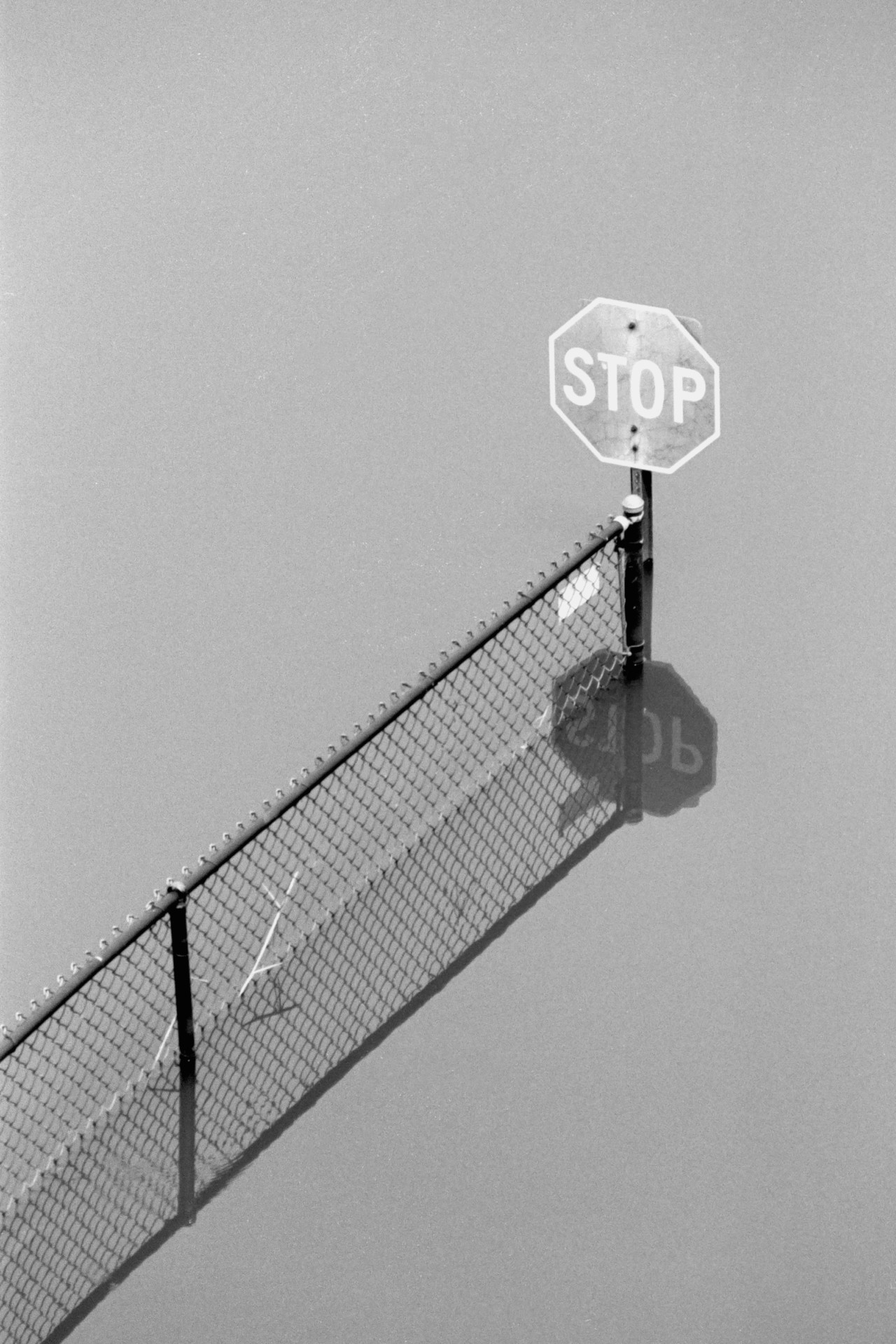 Flooded stop sign by Ryan Plett