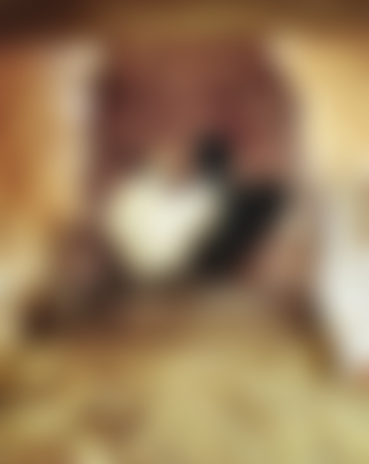 Coober Pedy chicken by Alex Lockett