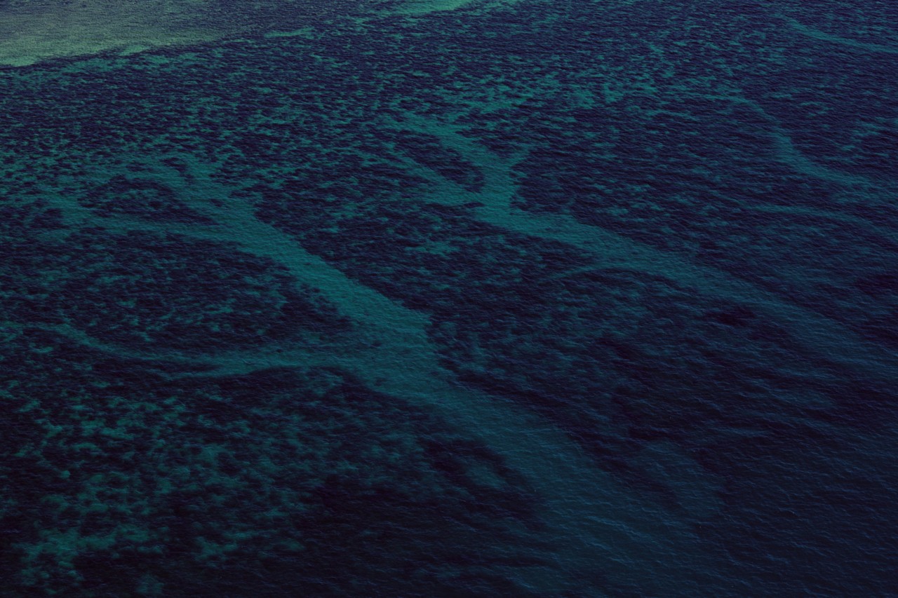 Ningaloo Reef in Australia by Chris Gurney