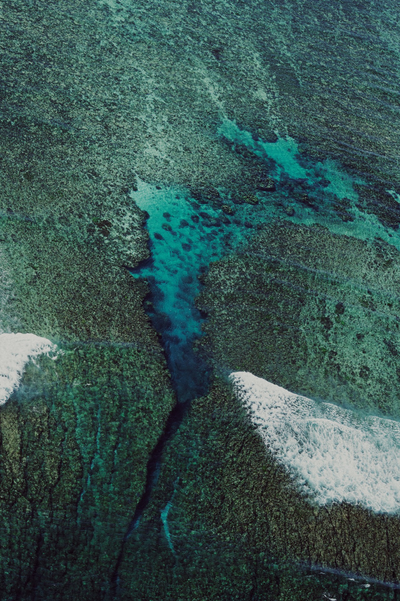 Ningaloo Reef in Australia by Chris Gurney