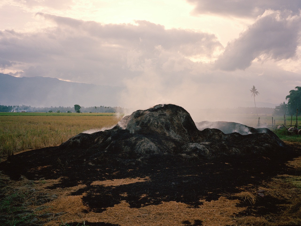 Rice burning in the Philippines by Sharif Hamza