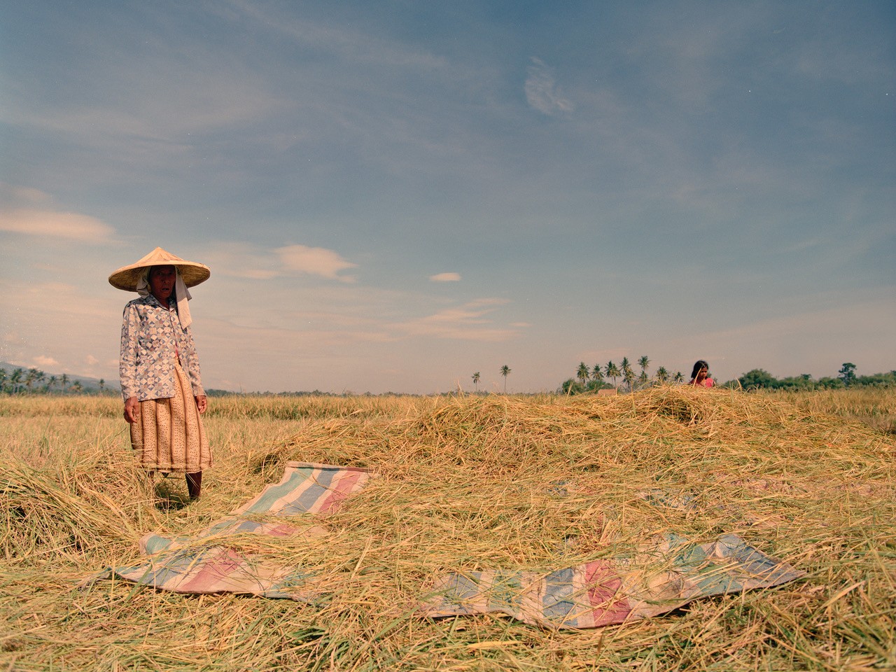 Rice farmer in the Philippines by Sharif Hamza