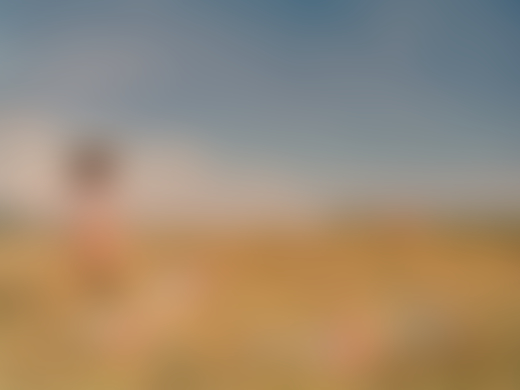Rice farmer in the Philippines by Sharif Hamza