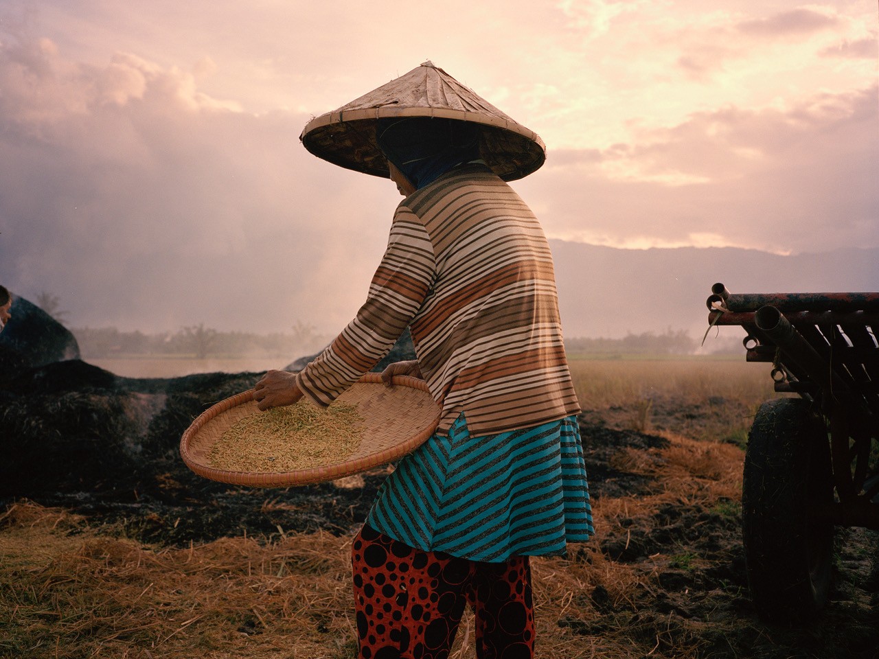 Rice farmer in the Philippines by Sharif Hamza