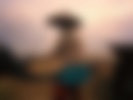 Rice farmer in the Philippines by Sharif Hamza