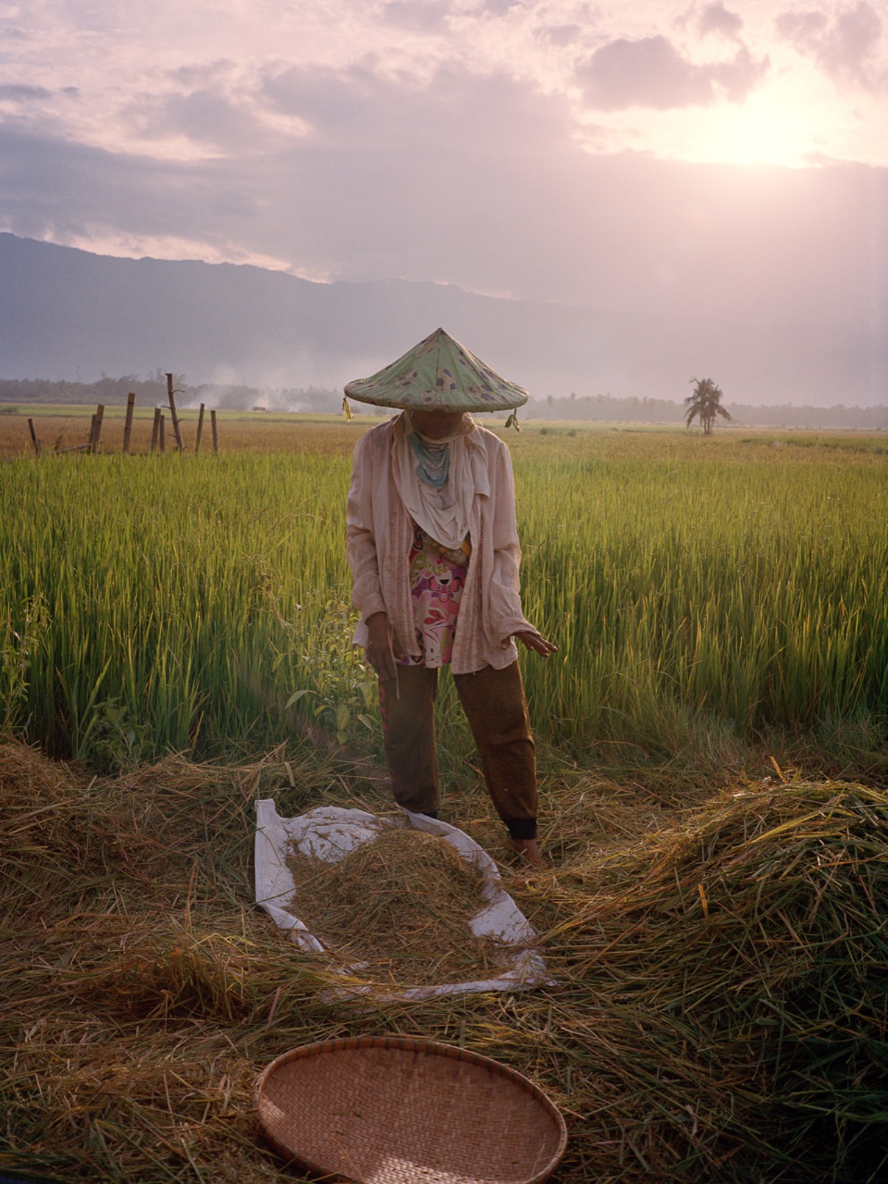 Rice farmer in the Philippines by Sharif Hamza