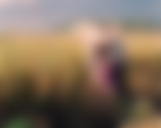 Rice farmers in the Philippines by Sharif Hamza