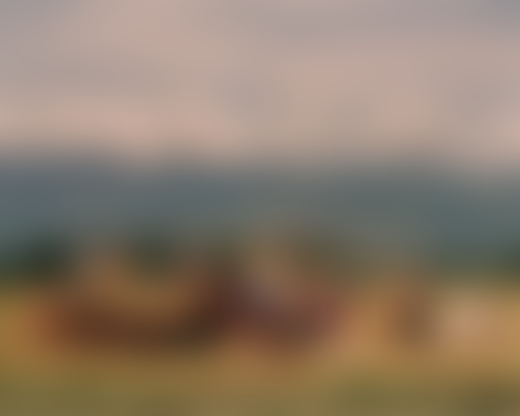 Rice farmers in the Philippines by Sharif Hamza