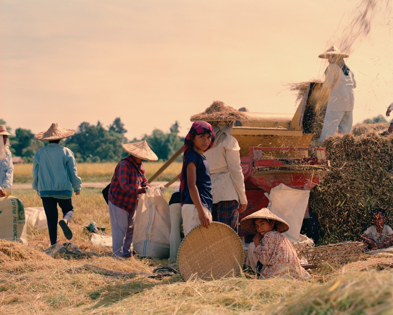 Rice farmers in the Philippines by Sharif Hamza
