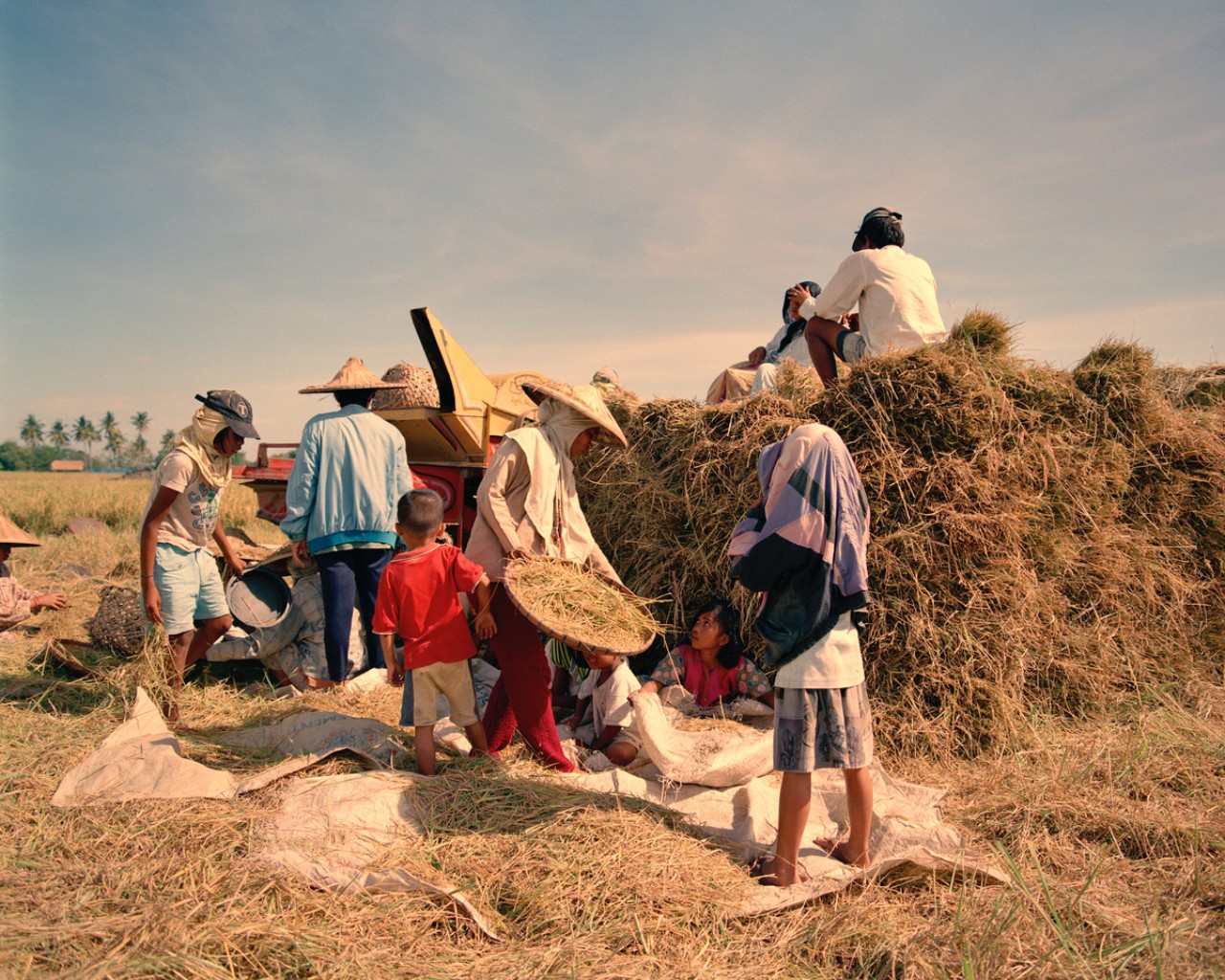 Rice farmers in the Philippines by Sharif Hamza