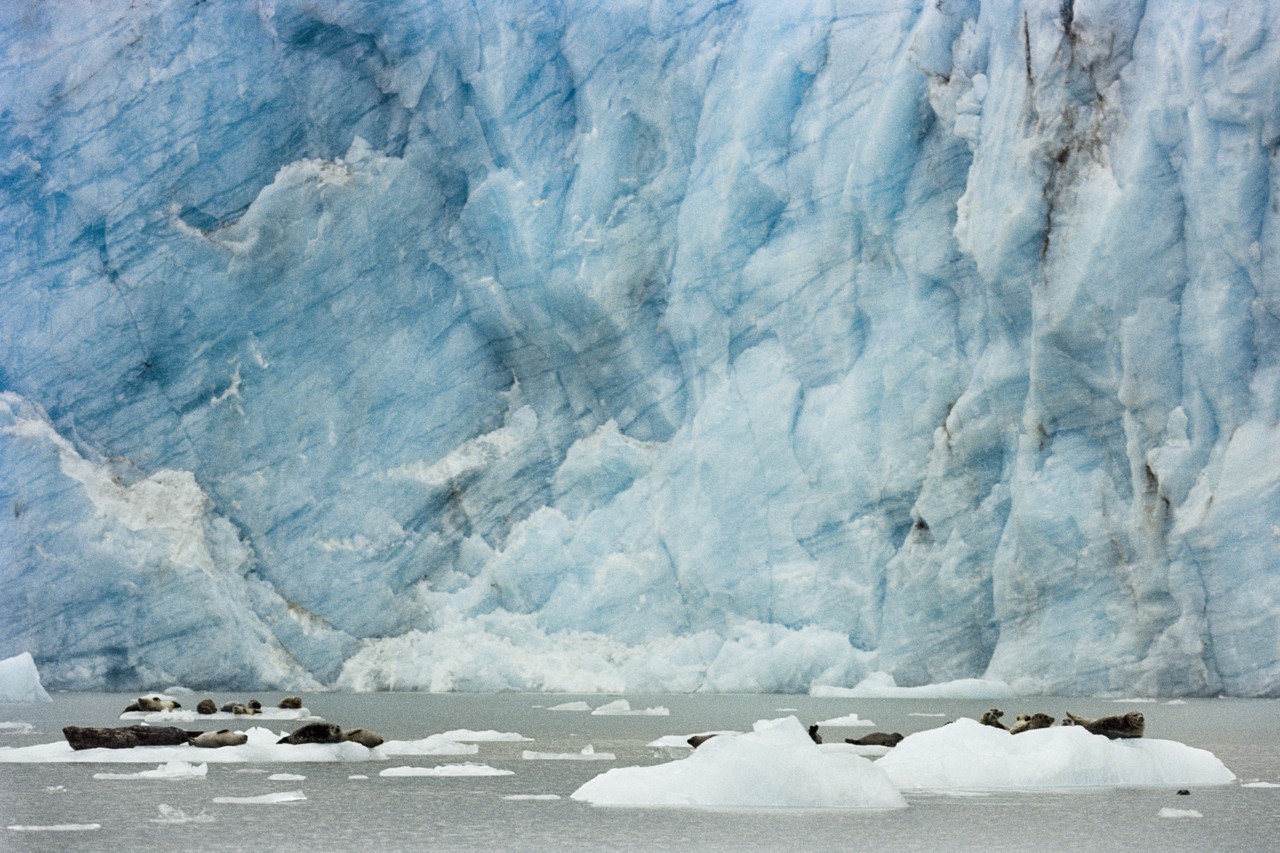 Alaska glacier by Daniel Shea