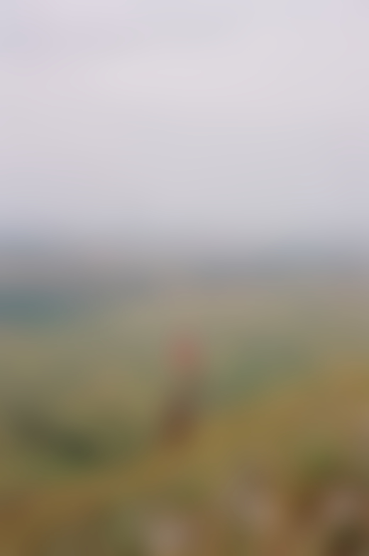 Bear Butte by Evan Benally Atwood