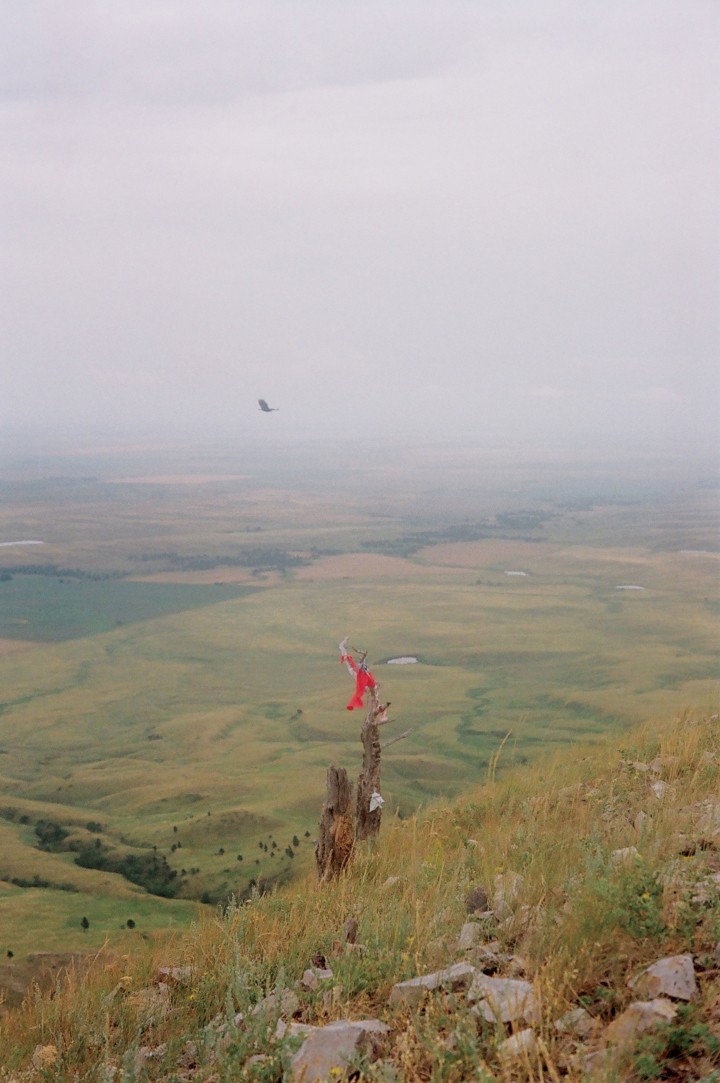 hero gallery image 2