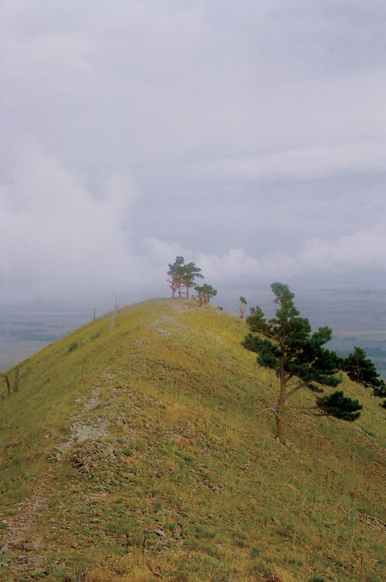 Bear Butte by Evan Benally Atwood