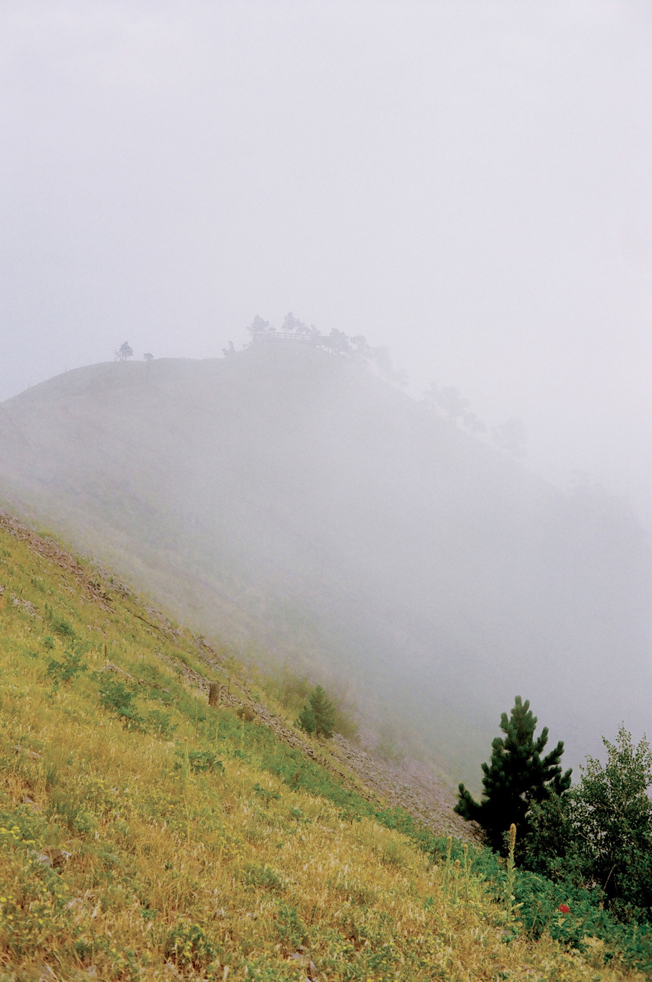 Bear Butte by Evan Benally Atwood