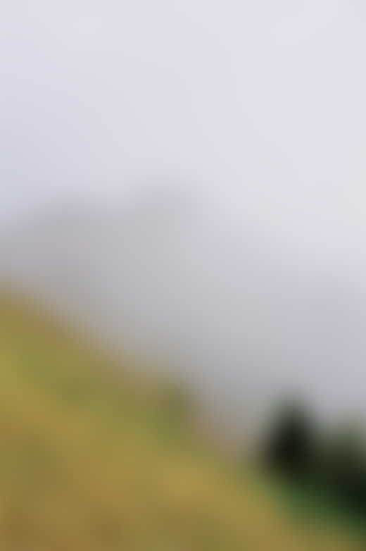 Bear Butte by Evan Benally Atwood