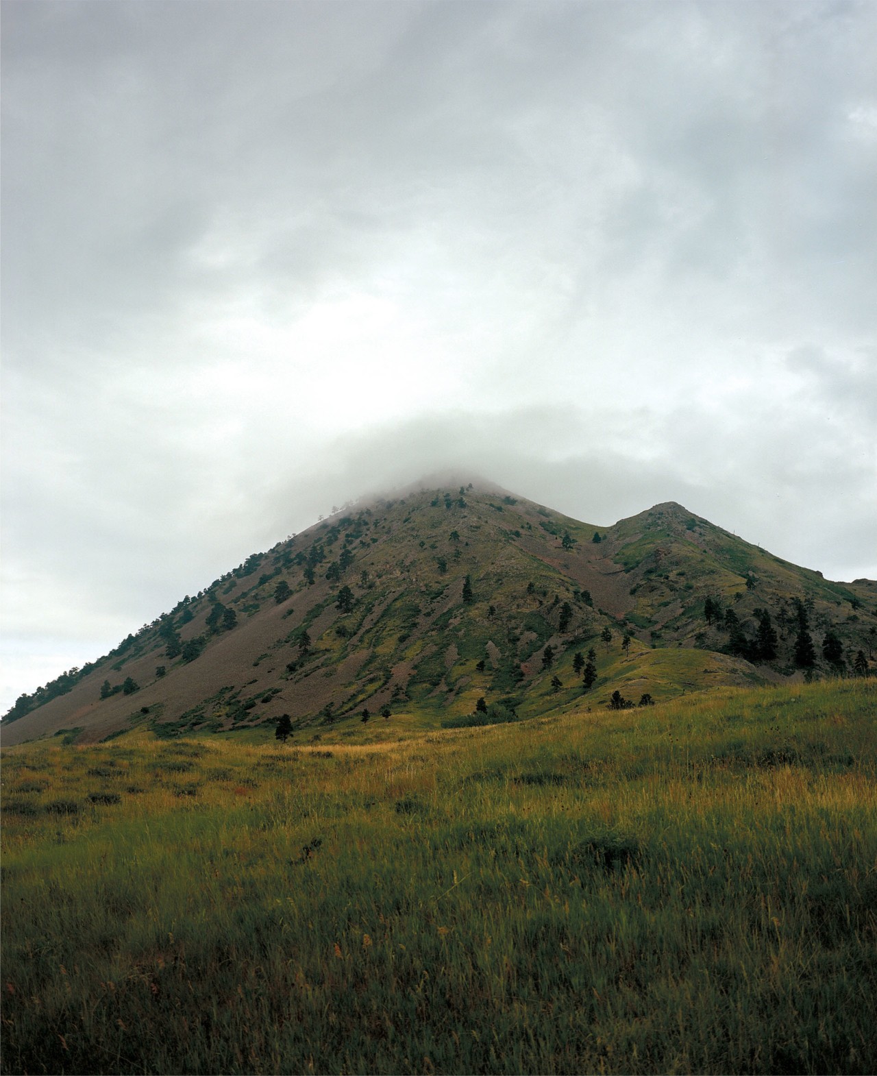Bear Butte by Evan Benally Atwood