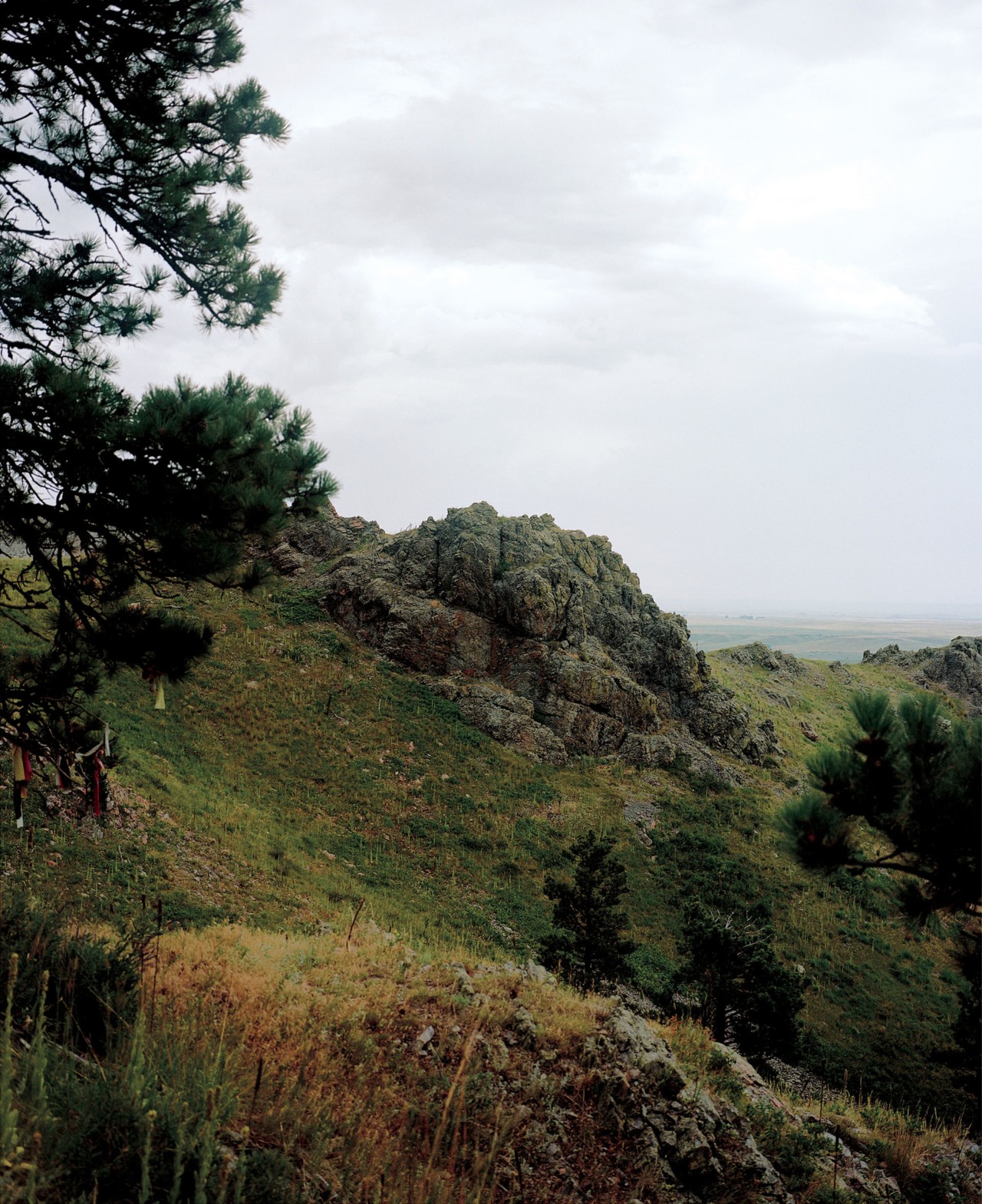 Bear Butte by Evan Benally Atwood