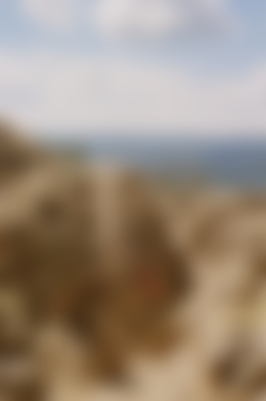 Black Elk Peak by Evan Benally Atwood