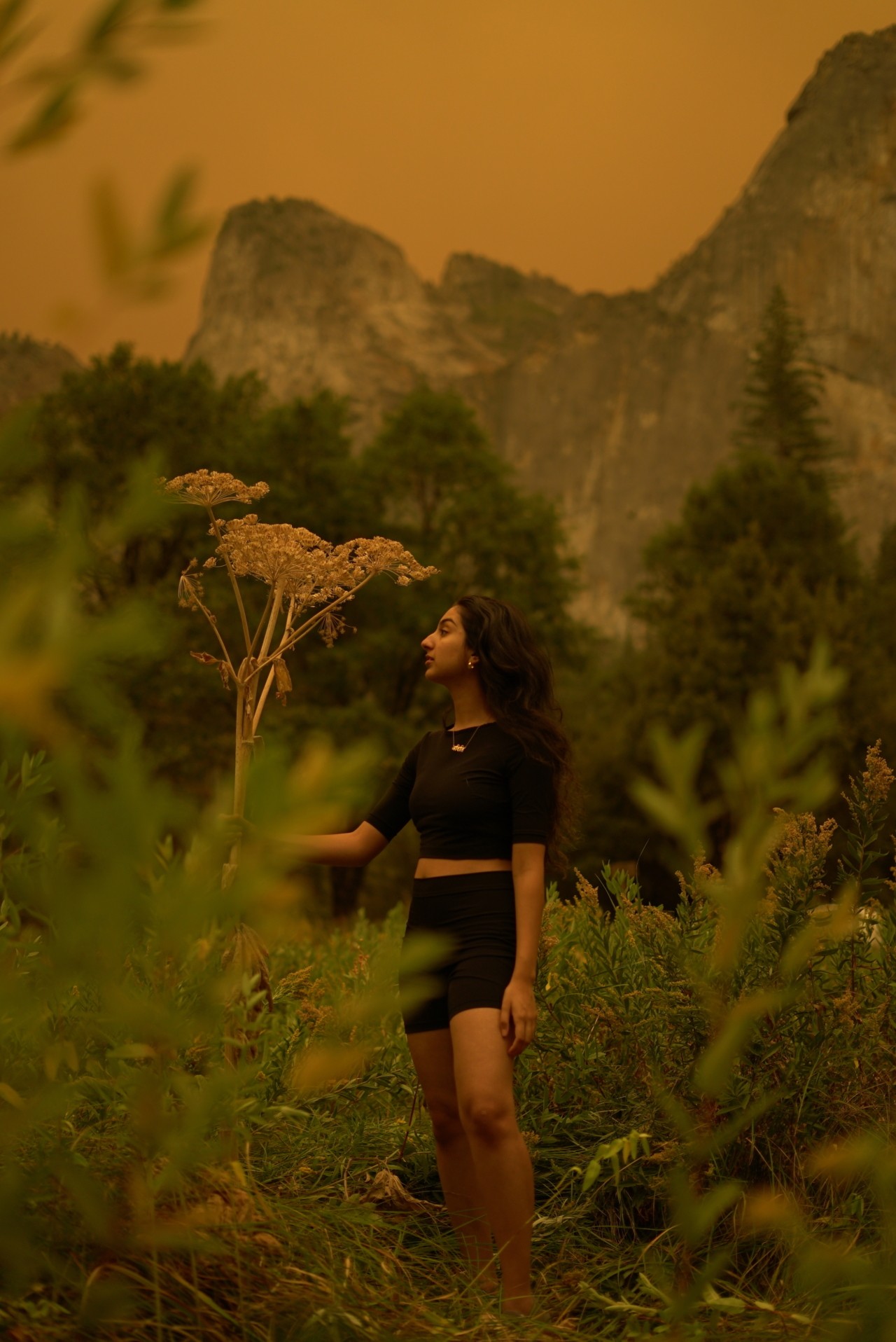 Creek Fire in California by Aditi Mayer