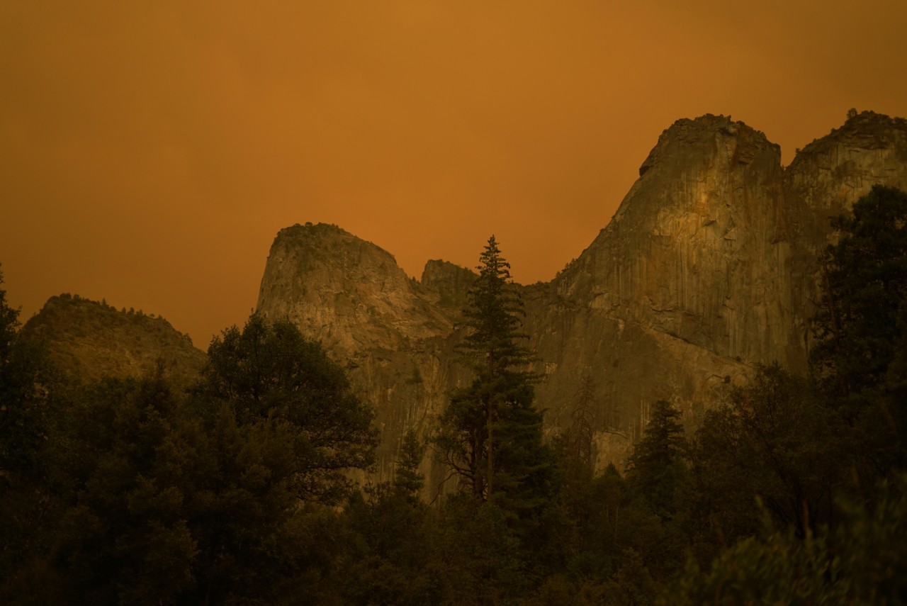 Creek Fire in California by Aditi Mayer