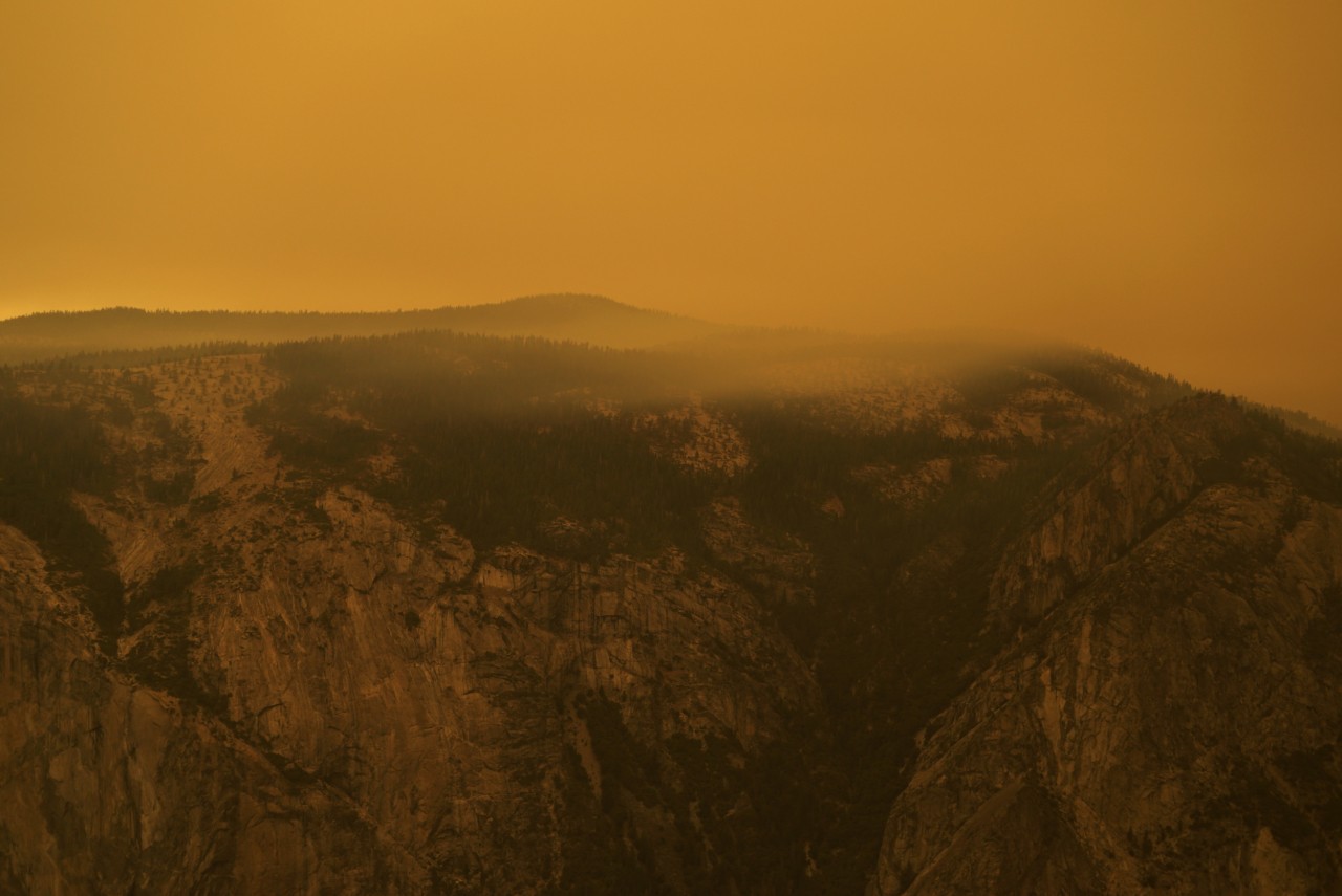 Creek Fire in California by Aditi Mayer