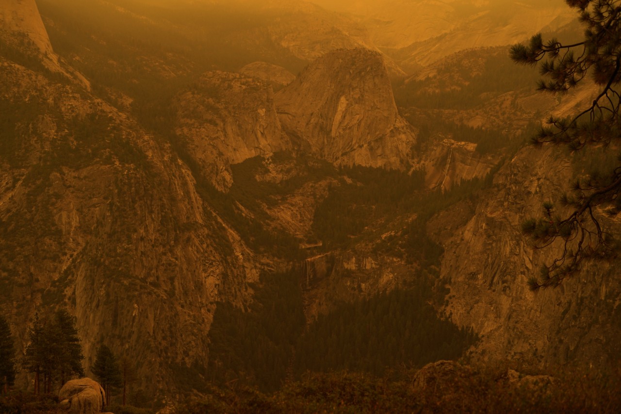 Creek Fire in California by Aditi Mayer