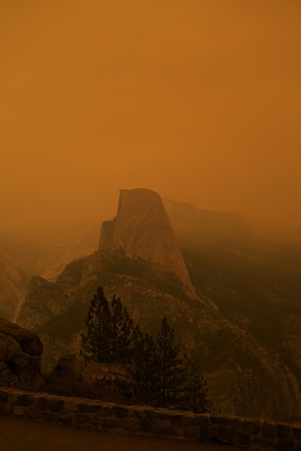 Creek Fire in California by Aditi Mayer