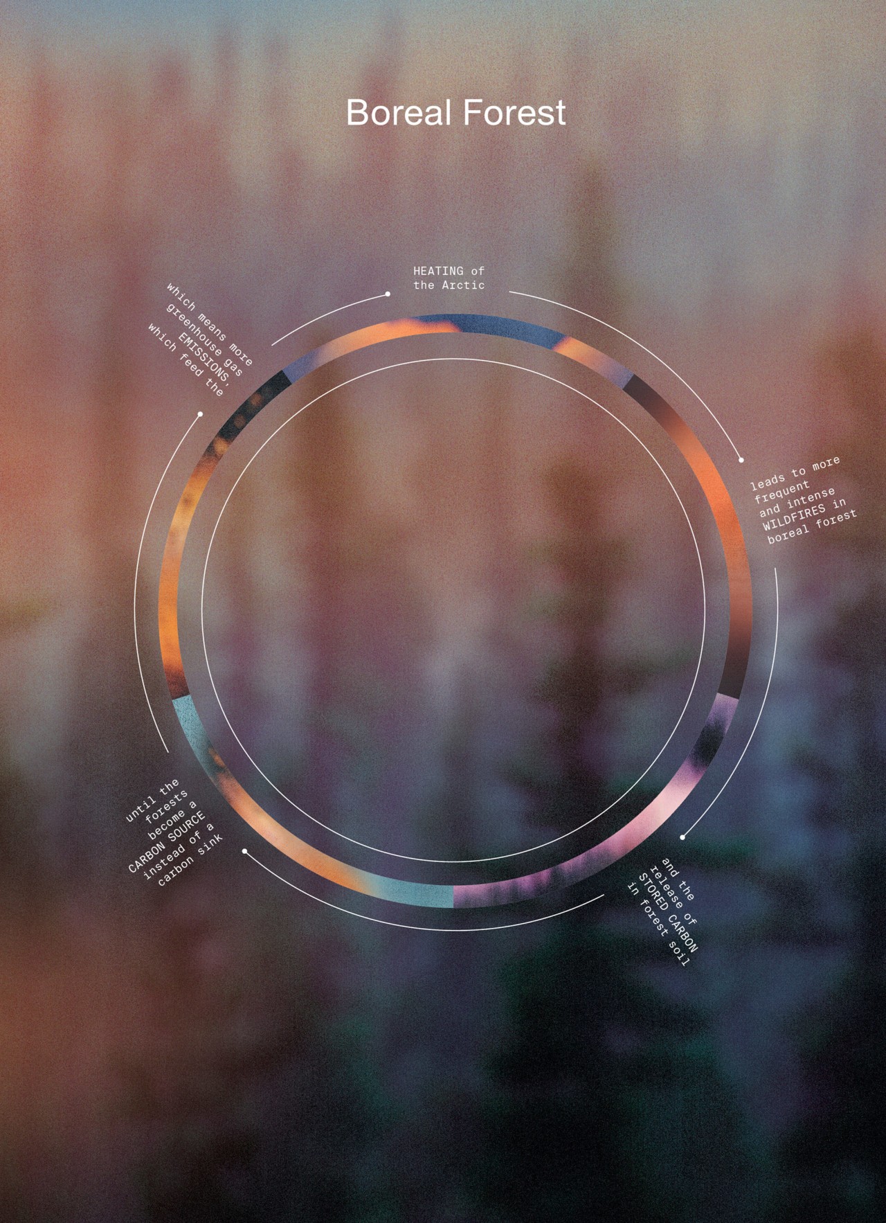 Graphic by Merijn Hos