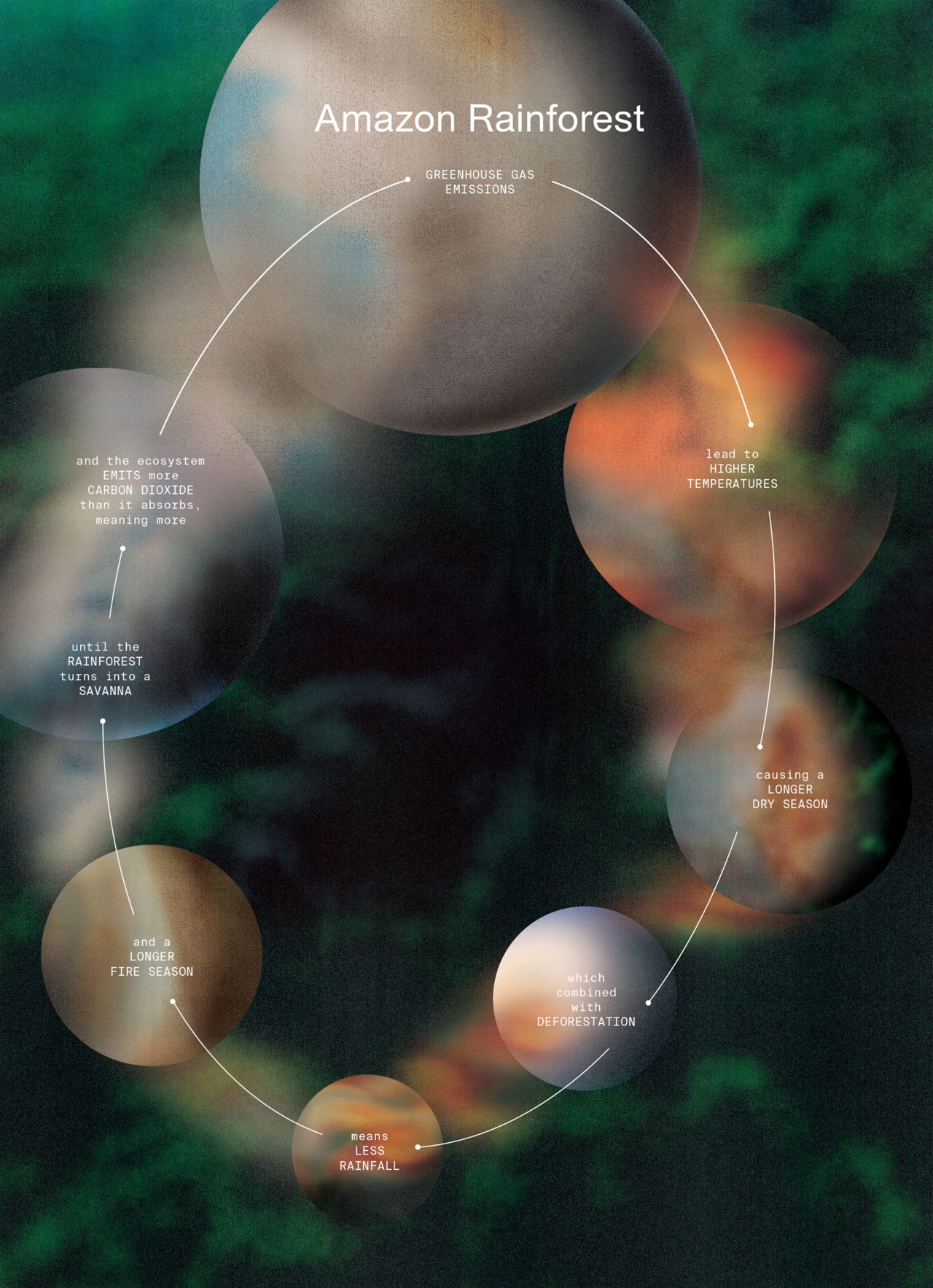 Graphic by Merijn Hos