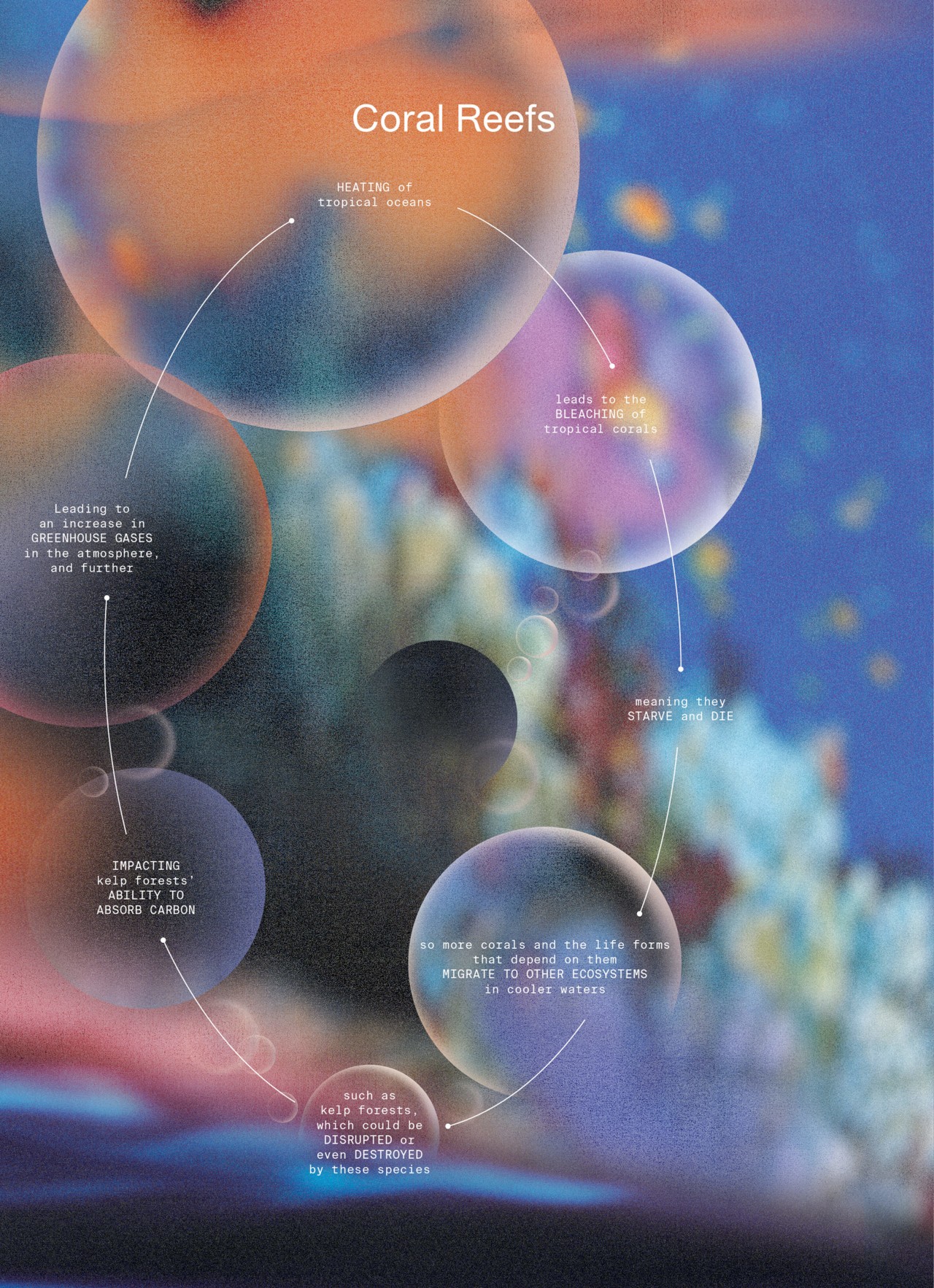 Graphic by Merijn Hos