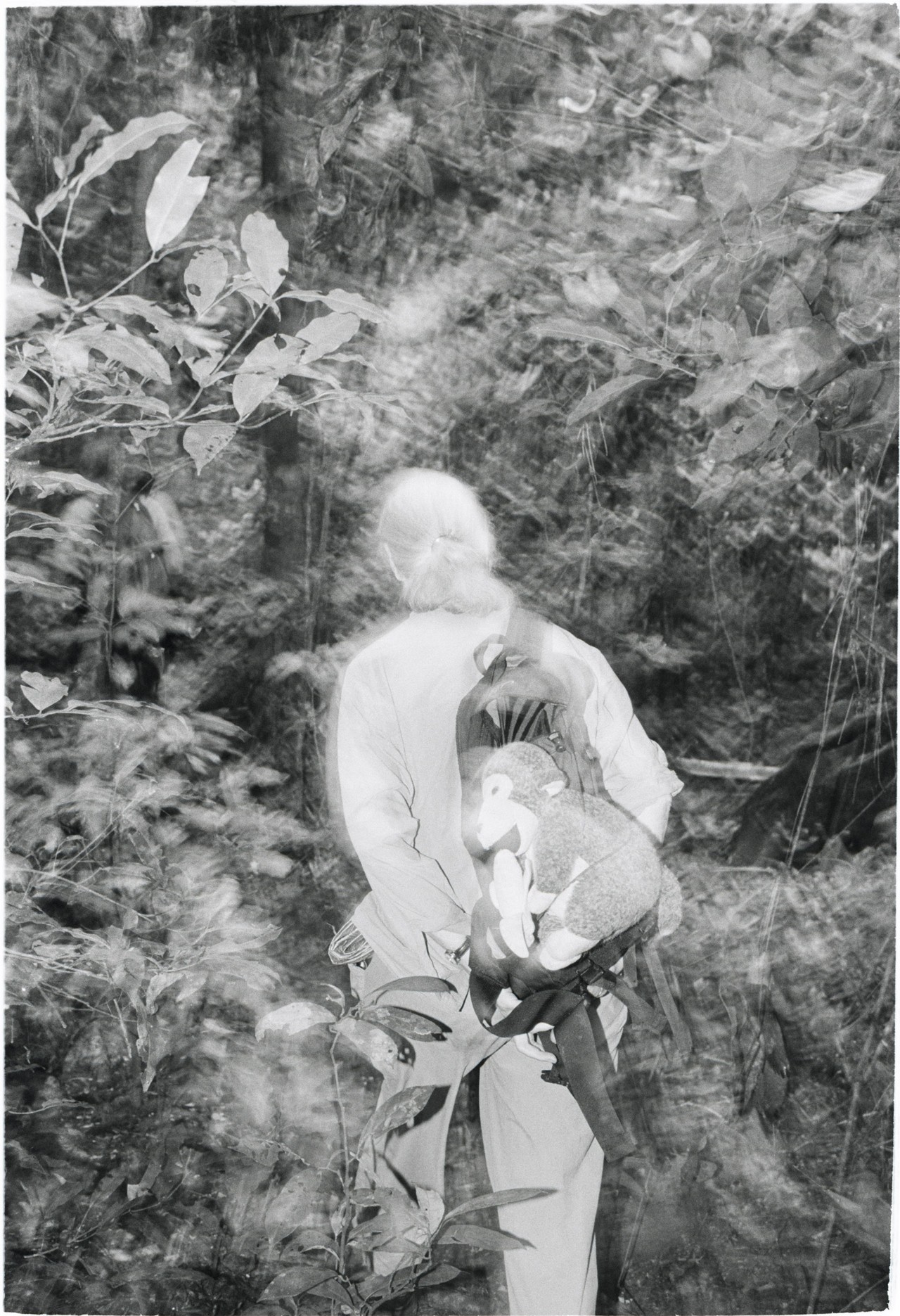 Jane Goodall