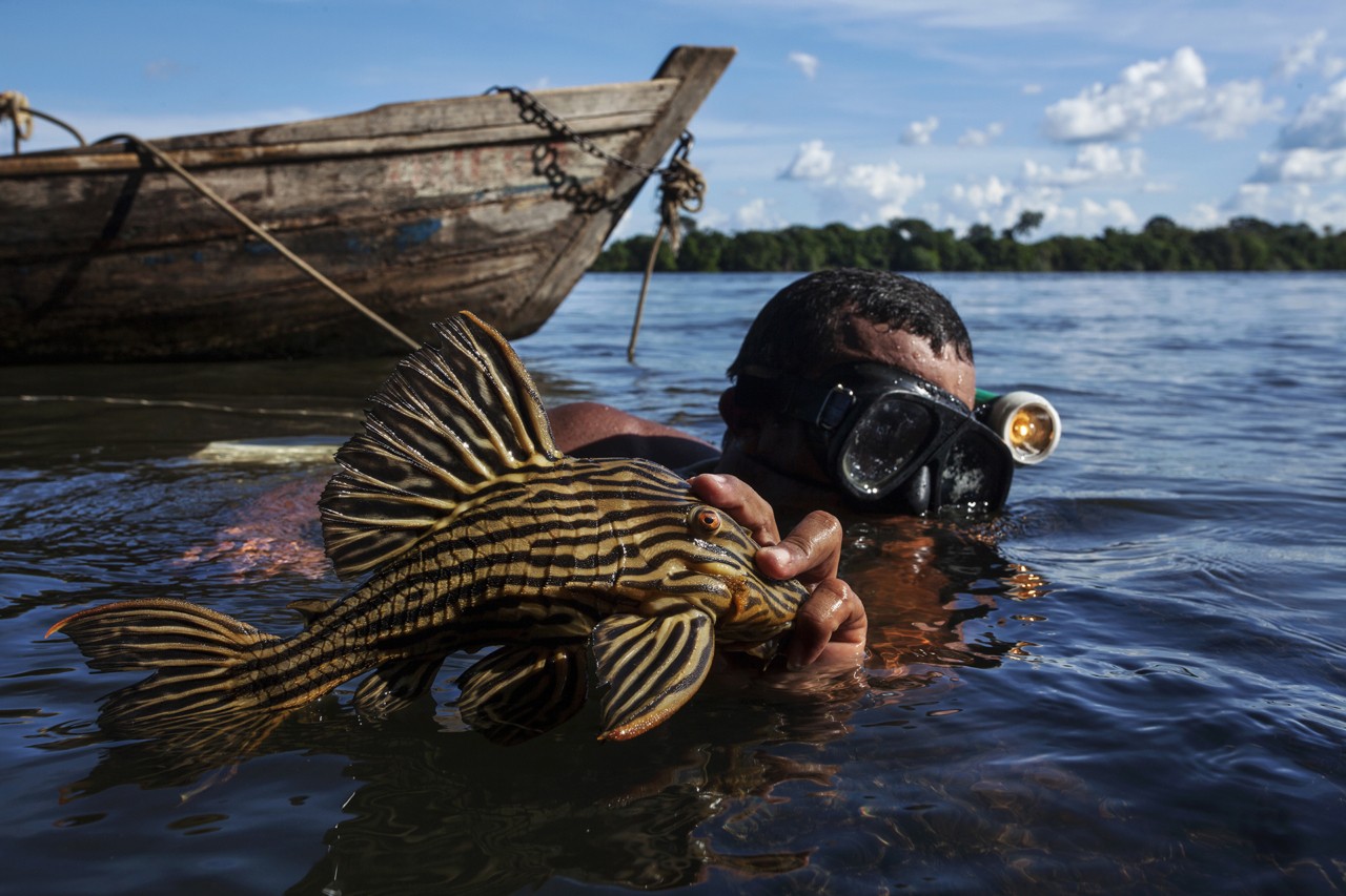 Swimmer in Xingu River by Lalo de Almeida