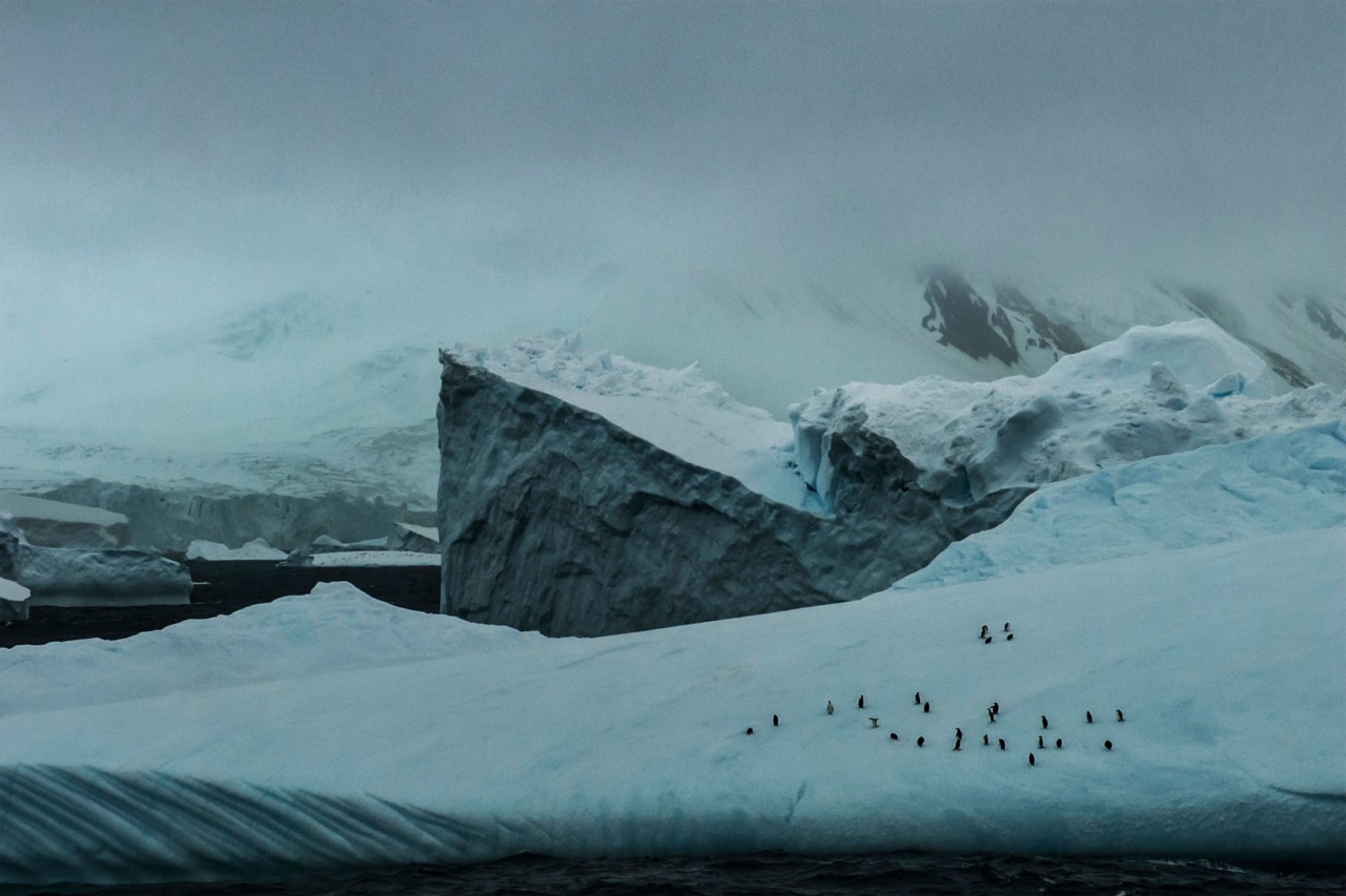 Antarctica ice by Patricia Carr Morgan