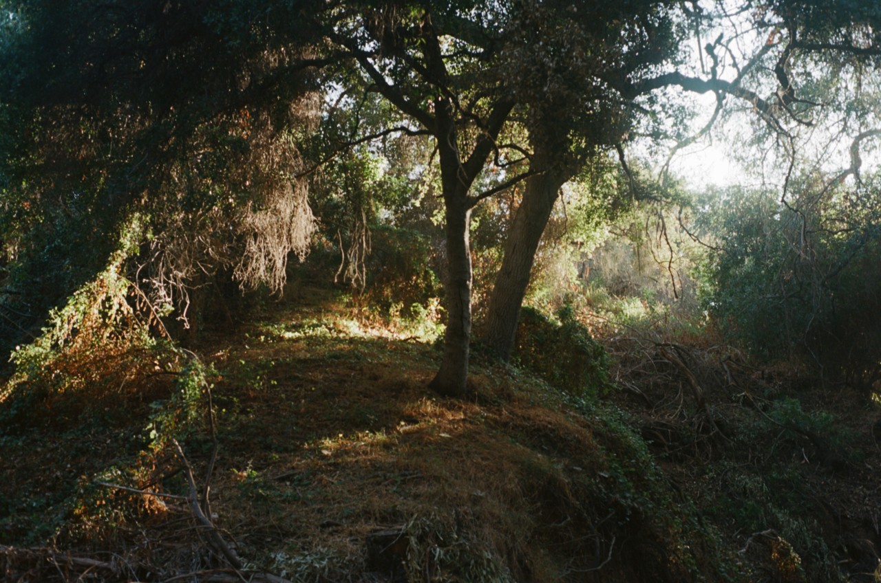 Performance artist DVVSK in nature by Daniel Jack Lyons