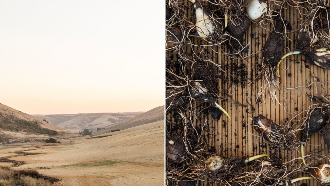 Greta Rybus Idaho Photos