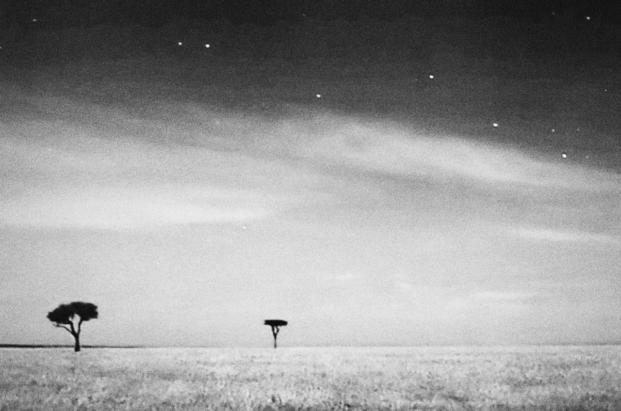 Night sky by Alexandra Leese